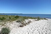 Düne Strand Breege-Julisuruh Rügen